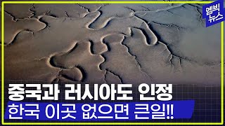 [엠빅네이처] 한국의 이곳은 지구에서 가장 중요한 곳 중 하나! 