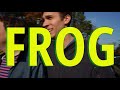 Frog  new ro music