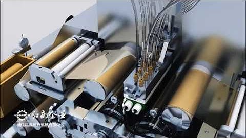 Demo of RJWJ 200 Softgel Encapsulation Machine 5