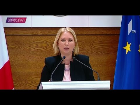 საკოორდინაციო საბჭოს სხდომა - ნათია თურნავას განცხადება