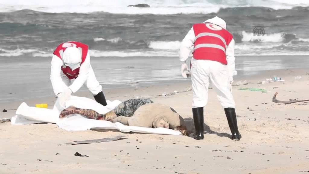 Refugees' bodies washed ashore in Libya YouTube