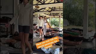 Yoga teacher open voice in Sound healing #didgeridoosoundhealing