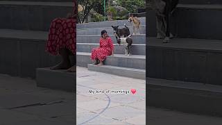 loving these mornings ♥️ #dog #love #trending #viral #youtubeshorts #viral #minivlog #health #life