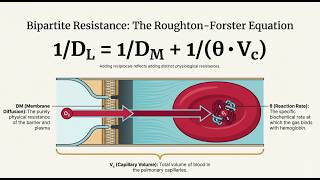 Details West's Respiratory Physiology | Diffusion of Oxygen. News