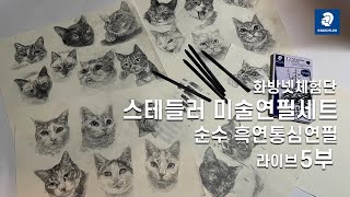 22.07.15) #화방넷체험단 20마리에서 종료하는 크로키 그리고 옆동네고양이들 총집합  #croquis #graphite #스테들러