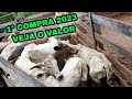 REPOSIÇÃO 🔻🔻PRIMEIRA COMPRA DE BEZERROS 2023 VEJA O VALOR