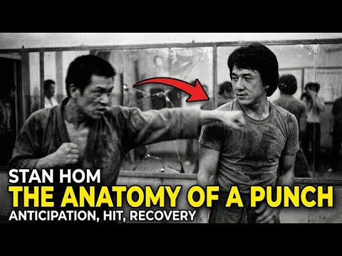 The Anatomy of a Punch: Anticipation, Hit, Recovery