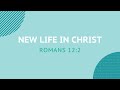 New life in christ  daily devotion
