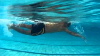 NTU Swimfest 2015: Teaser Video