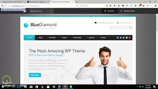 HOW TO CUSTOMIZE THE FRONT PAGE OF ANY WORDPRESS THEME: BLUE DIAMOND HOMEPAGE CUSTOMIZATION