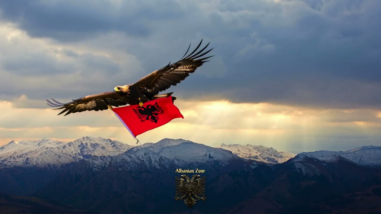 Kopil Shkine (Remix) | Muzik Shqip | Albanian Zone