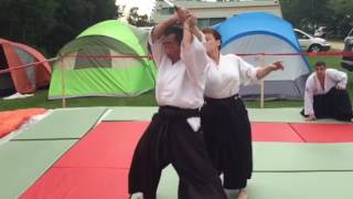 Aikibudo