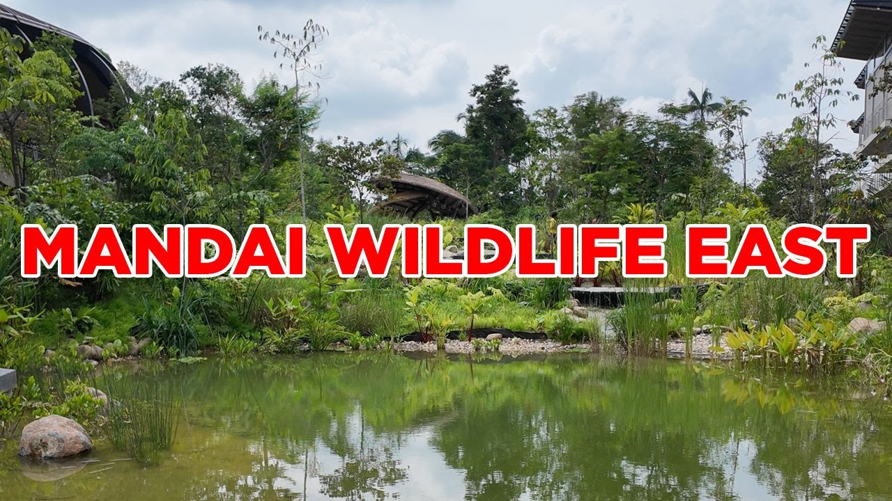 Mandai Wildlife East || Walking Singapore