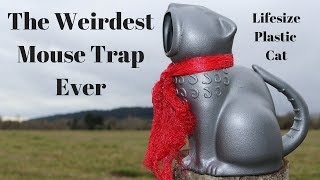 The Weirdest Mouse Trap Ever - Life-size Plastic Cat That Actually Catches Mice. The Weirdest Mouse Trap Ever - Life-size Plastic Cat That Actually Catches Mice.