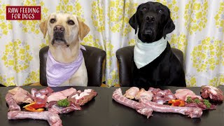 【ASMR】 Dogs eating Raw Meats