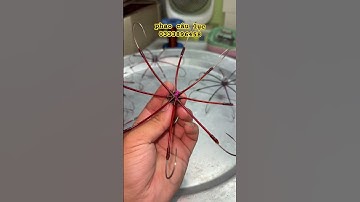 lưỡi câu cá zìa cá nâu lục bát 8 lưỡi  fom rộng 19cm  tay cước 22 uốn fom 18 180k/c