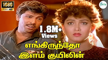 Engiruntho Ilam Kuyilin ||எங்கிருந்தோ இளம் குயிலின் || S.P.B ||  Love Tamil HD Song