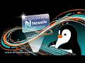 Newelle es tu asistente virtual con IA en Linux