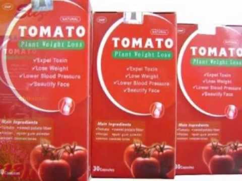TOMATO Plant Weight Loss