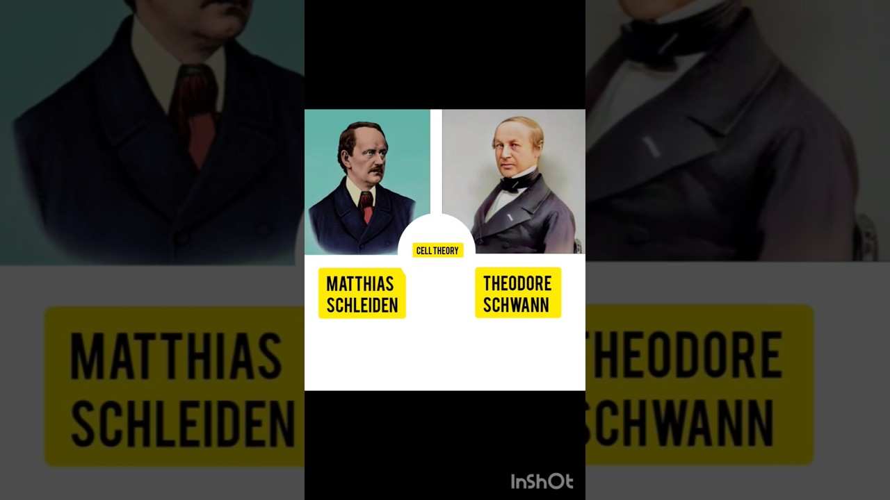 Cell Theory || Matthias Schleiden and Theodore Schwann || Cell || Rudolf Virchow || German botanist