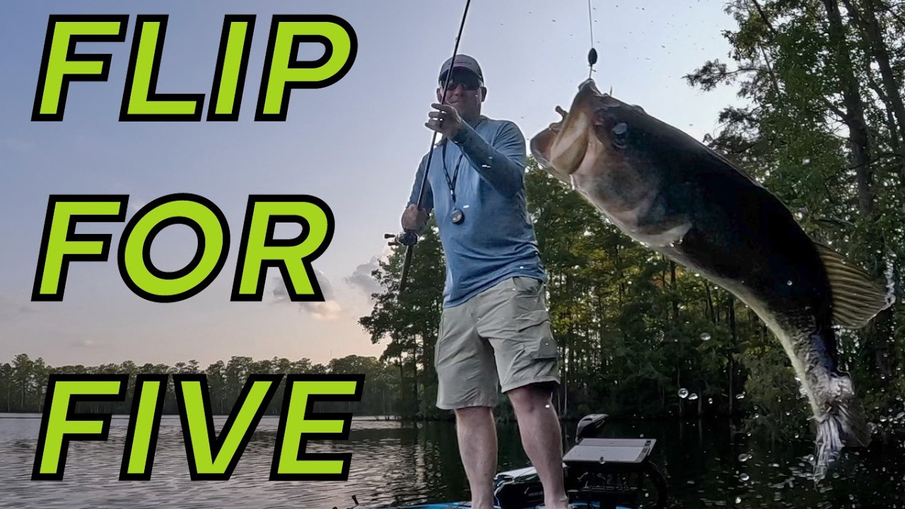 Cypress Tree Flips: The Secret to Catching Bass
