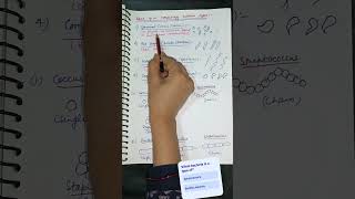 Eubacteria#monera#bacillus#vibrio#coccyx#prokaryotes#class11biology#cbse#ncert#neet#aktbiology
