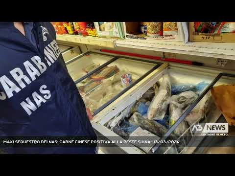 MAXI SEQUESTRO DEI NAS: CARNE CINESE POSITIVA ALLA PESTE SUINA | 13/03/2024