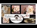 Forest origins mushroom grow kit  growing  harvesting mushrooms  cooking with mushrooms 