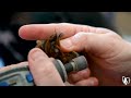 How To Trim Dog Nails Without Hurting Them!
