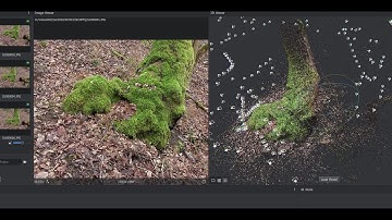 #Meshroom 2019.2.0 Tree Trunk