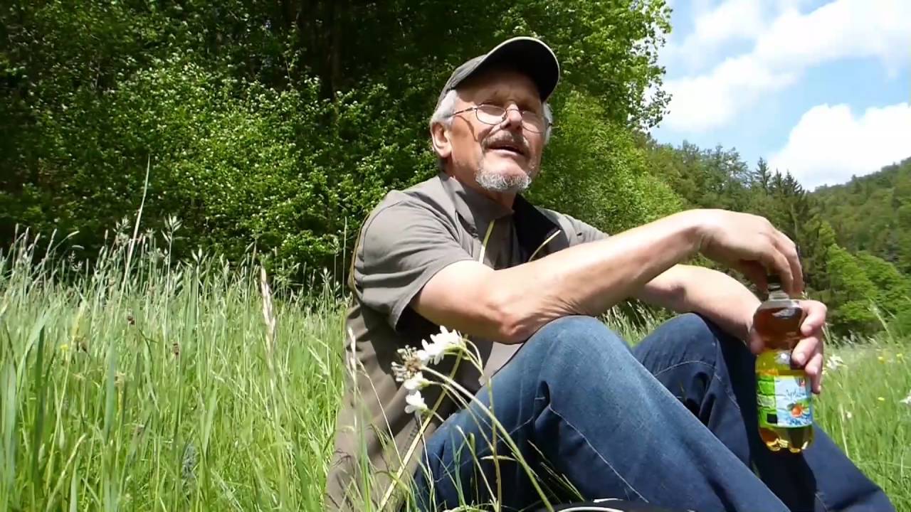 Wandern - Hersbrucker Schweiz:  Vorra - Pommelsbrunn