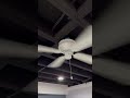 Littleton Ceiling Fan