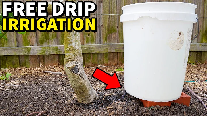 How To Make A FREE Drip Irrigation System With An Old 5 Gallon Bucket