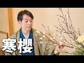 寒櫻插花(花材類影片)