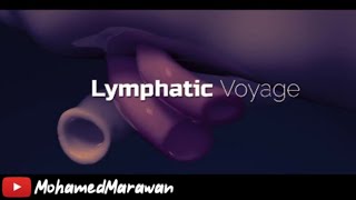 رحلة بداخل العقد الليمفاوية-Lymphatic Voyage Immunity. Immune system 