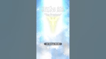 Surah Al-Anbiya 19-20 - Hindi/Urdu Audio |سورة الأنبياء #surahalanbiya #muslim360