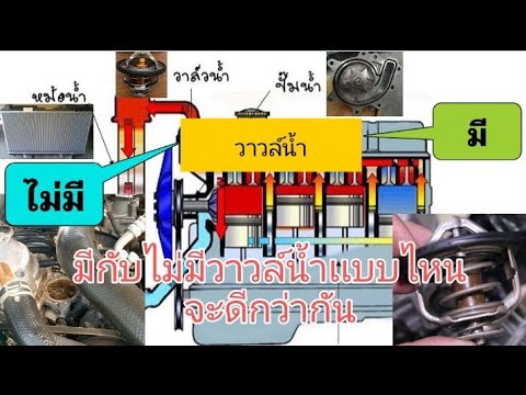 วีดีโอ: ผู้ผลิตชีสที่ดีที่สุดในรัสเซีย