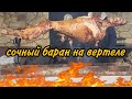 Барашка на вертеле на Новый год.  Целого барана съели.