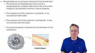 2.7B Lipids    insoluble in water