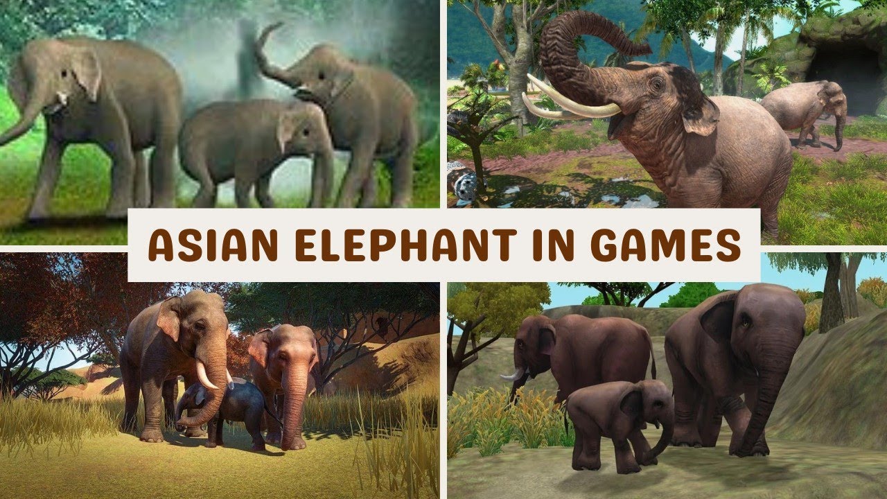 Asian Elephant: Comparison In 7 Games 🐘