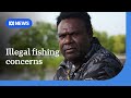 Saibai Island locals fear illegal PNG fishing putting traditional way of life at risk | ABC News