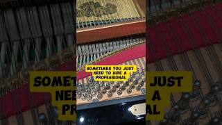 Common fix for a sticky key while tuning a piano #piano #pianomusic #pianotuning #grandpiano #tuner