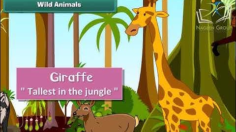 Class 2 EVS || Chapter Animal Life || CBSE