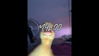 MALO 2 - Fhirly karu rmx new