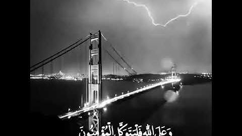 ماهر المعيقلي قل لن يصيبنا إلا ما كتب الله لنا مقاطع دينية قصيرة قران كريم مع الترجمة | مقاطع دينية