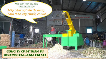 Máy băm thân cây ngô, cây sắn 3A11KW|Máy băm nghiền đa năng băm thân cây chuối, cỏ voi công suất lớn