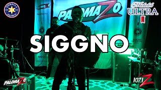 Palomazo De Neta Con Grupo Siggno!!