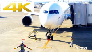 [4k] [飛行機 動画] 羽田空港のマーシャラー Marshaller at Haneda airport