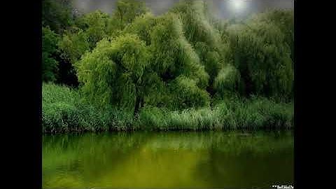 Love and forgive yourself | Louise Hay 2020 | You can heal yourself