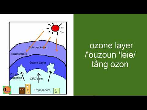 Video Từ vựng tiếng Anh về Môi trường - The environment - YouTube